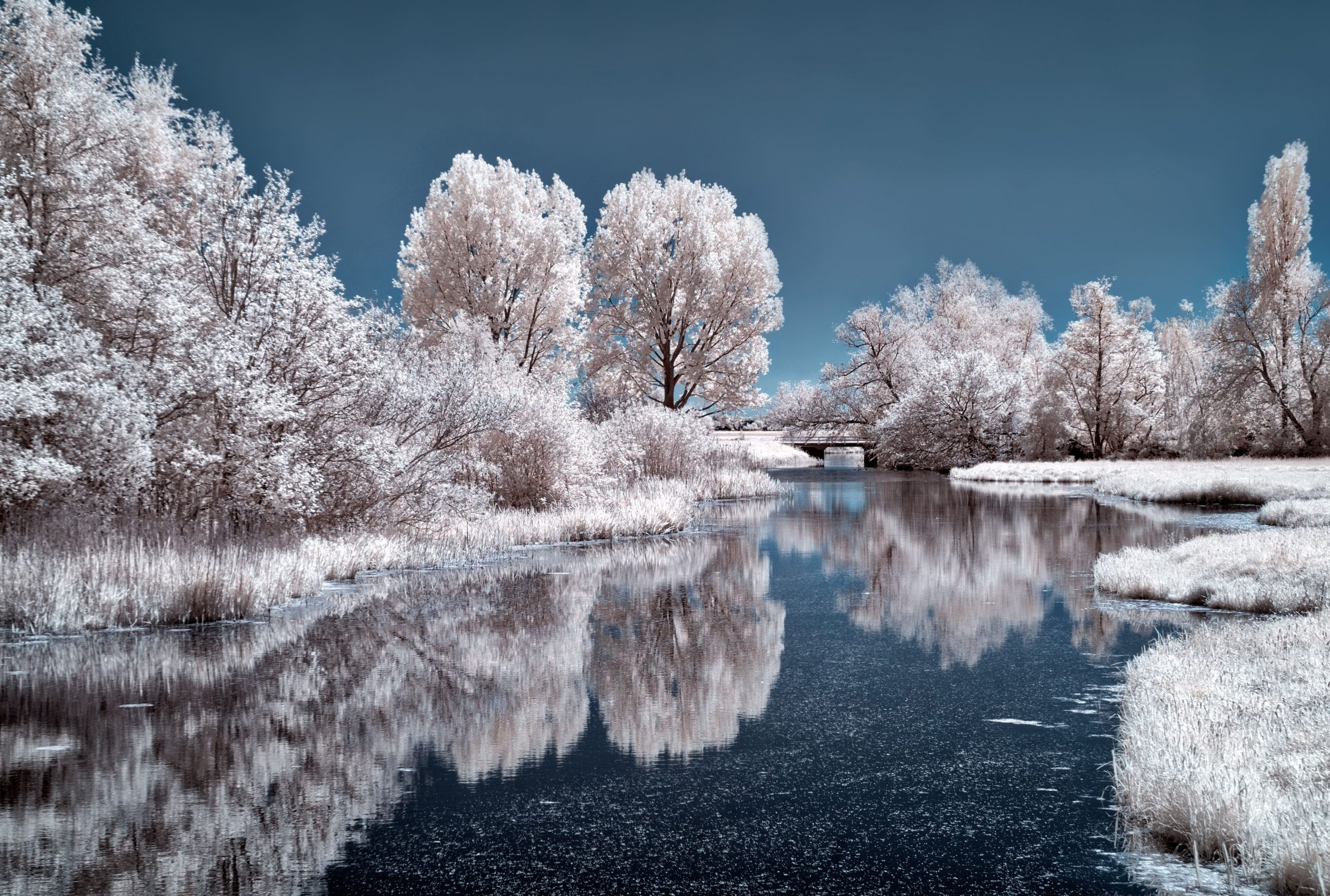 winter